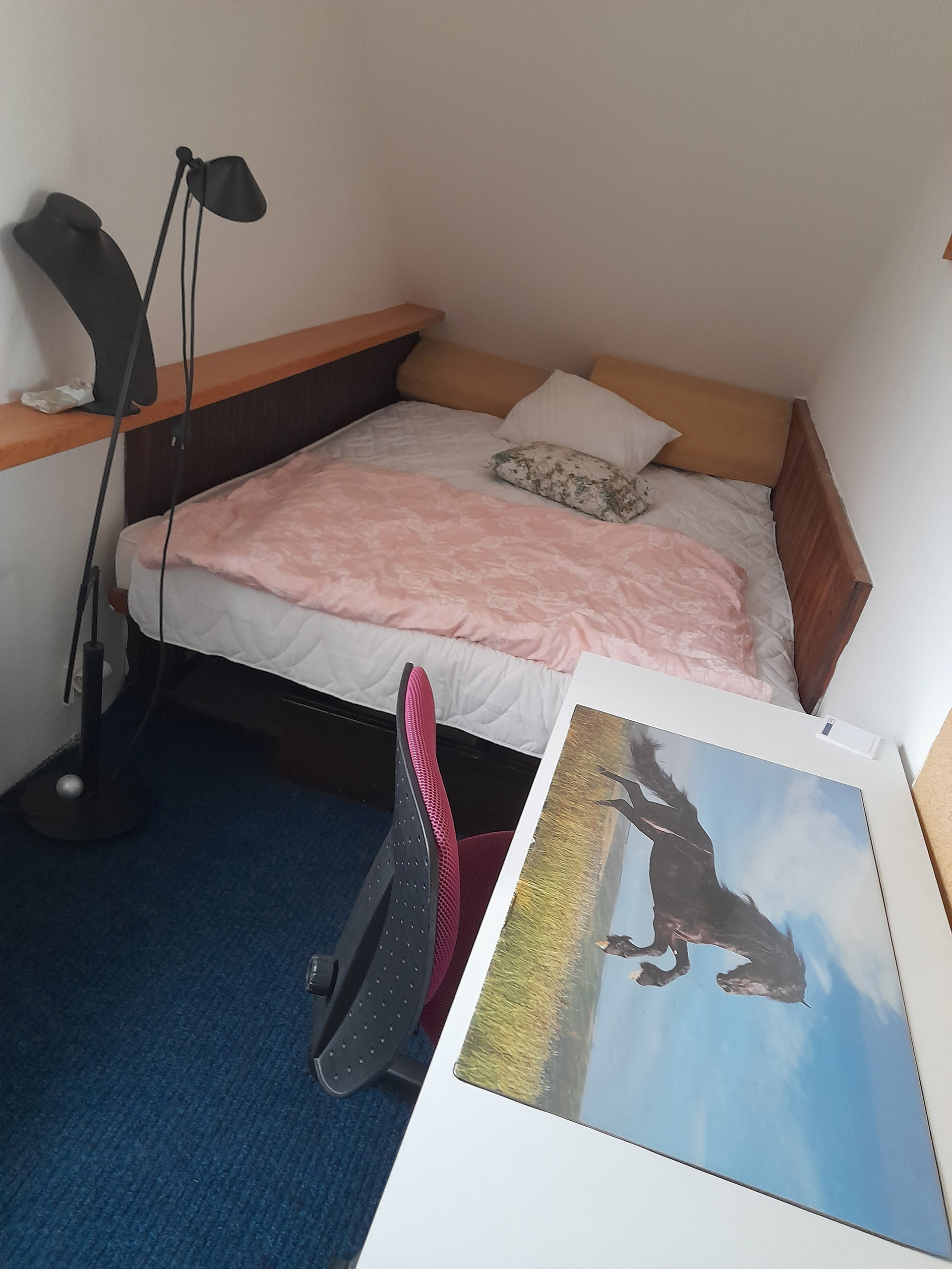 Bedroom with bed and desk