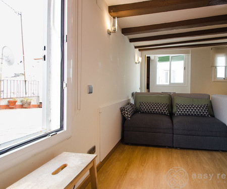 Renovated Penthouse 30m2 with communal terrace