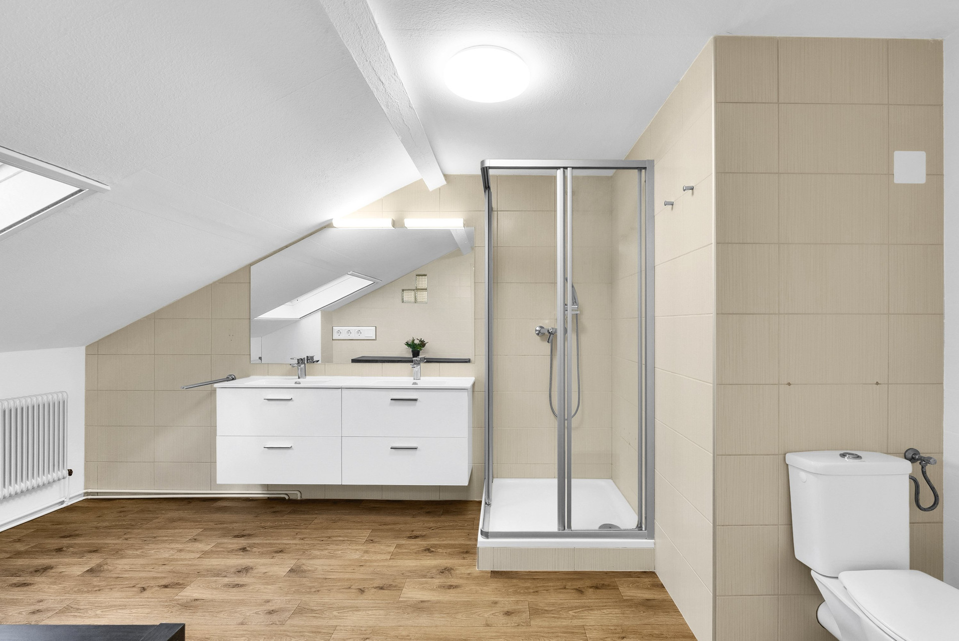 Attic bathroom shower double sink