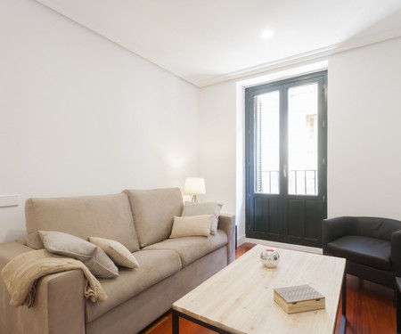 Cozy and modern apartment in Gran via.