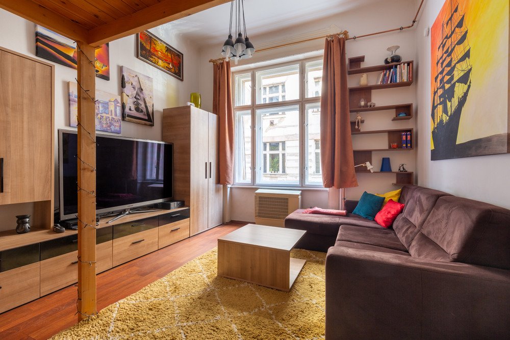Cozy 40 m2 apartment with AC at Moricz district 11 preview