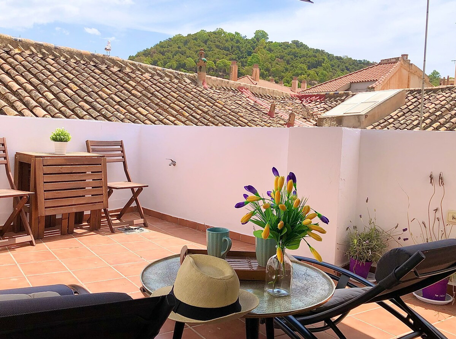 terrace