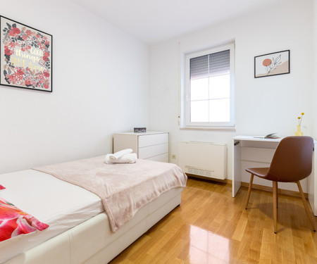 Apartman Put Radoševca