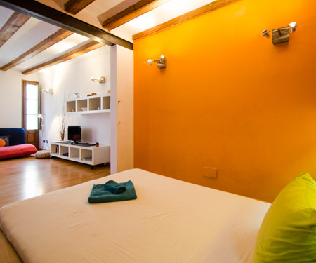 Cozy renovated studio, near La Rambla