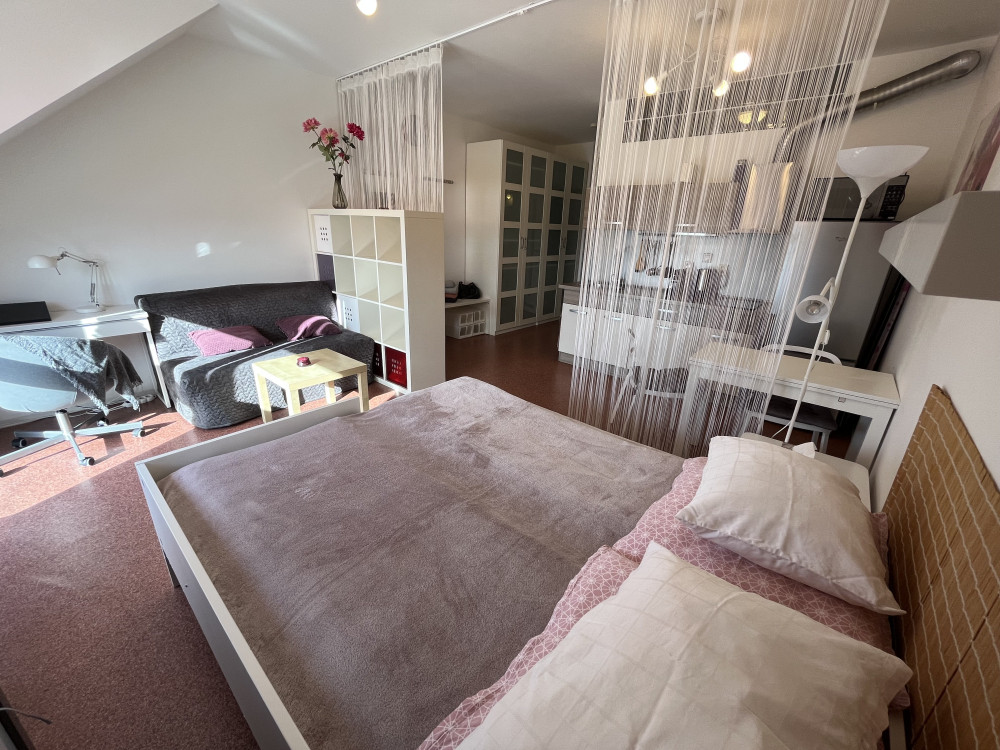 One-bedroom apartment, Libus, Svihovska