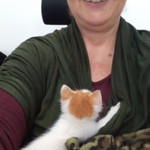 Landlords profile photo