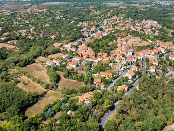 Zahrada