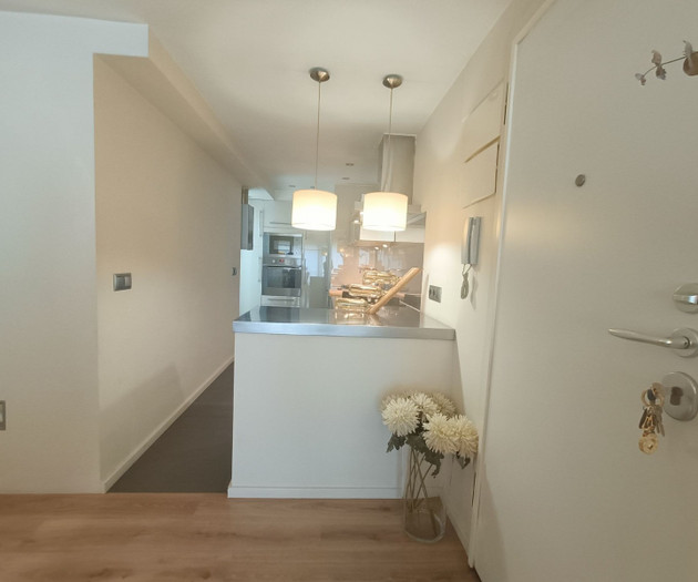 Apartment with Terrace Next to Turia Gardens
