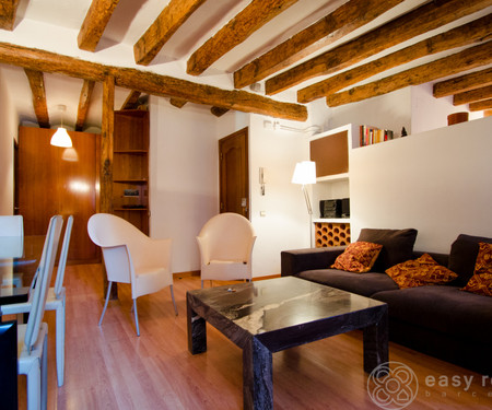 Charming Loft, fully renovated