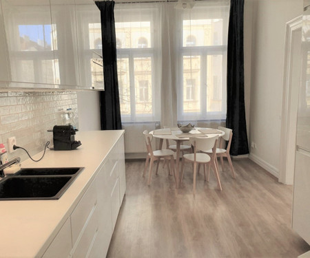 Modern 2 bedroom apartment in Vinohrady