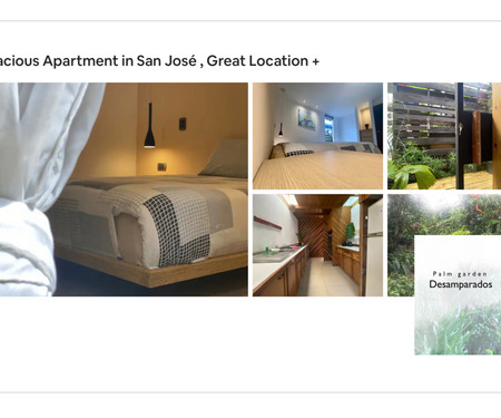 Spacious Apartment in San José , Serene