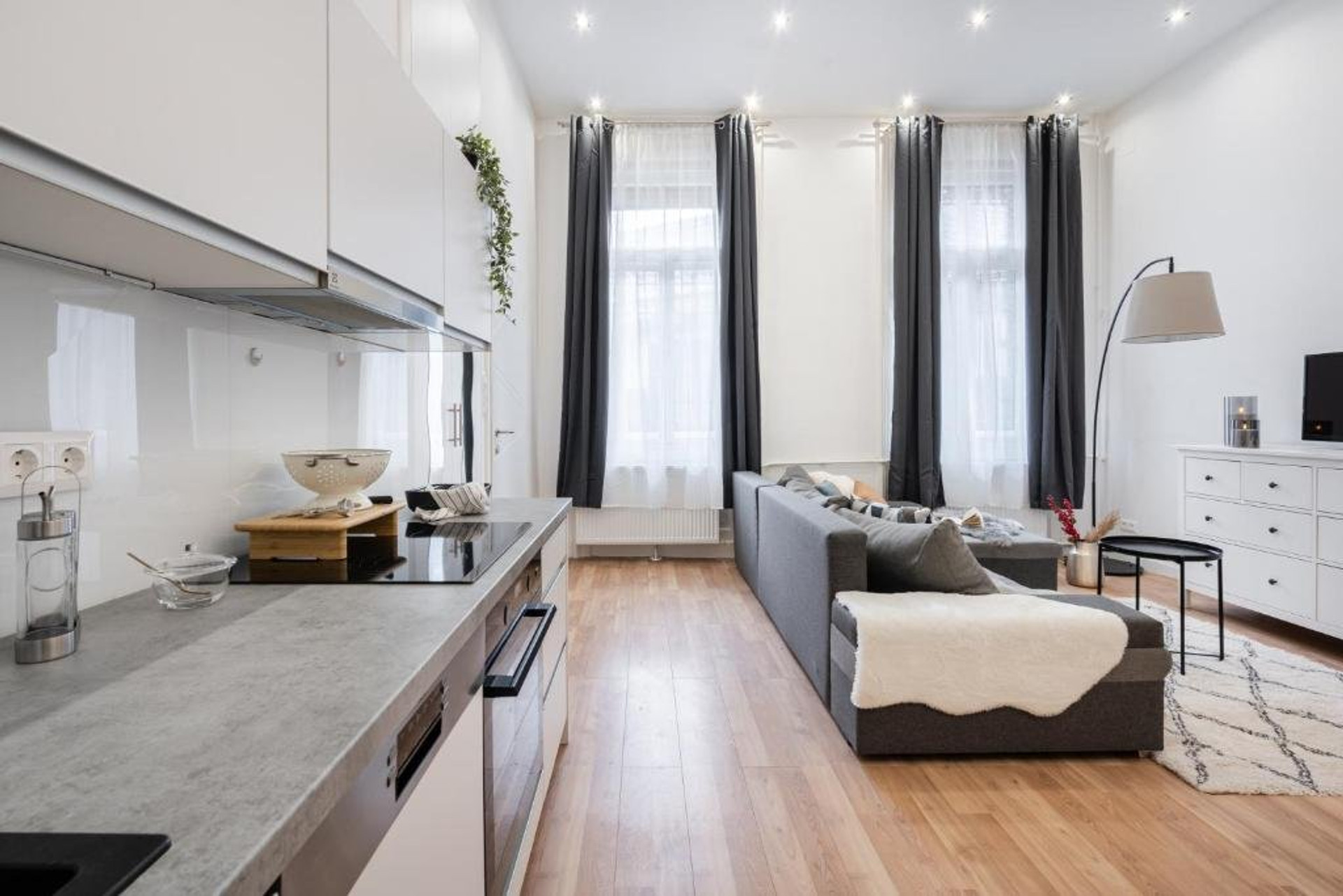 Living room and kitchen
