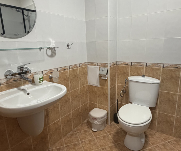 Bathroom sink and toilet