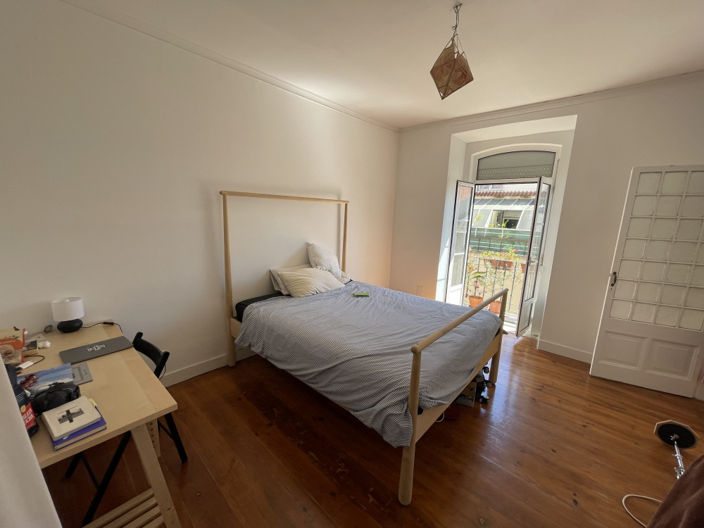 Spacious sunny apartment
