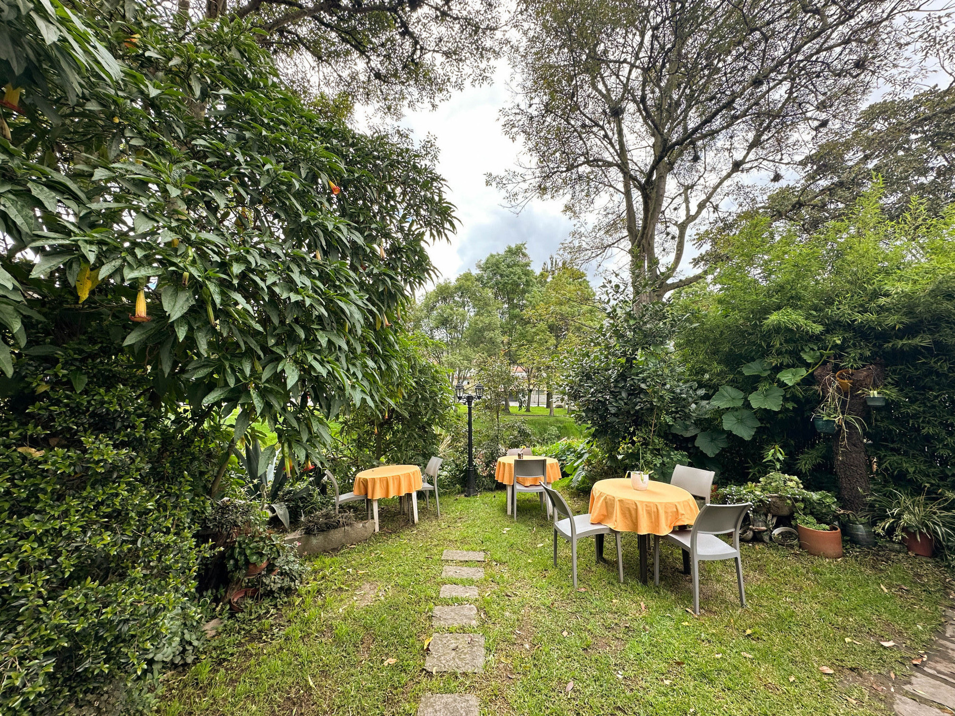 Patio posterior