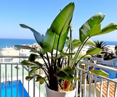 Sea Views and big balcony