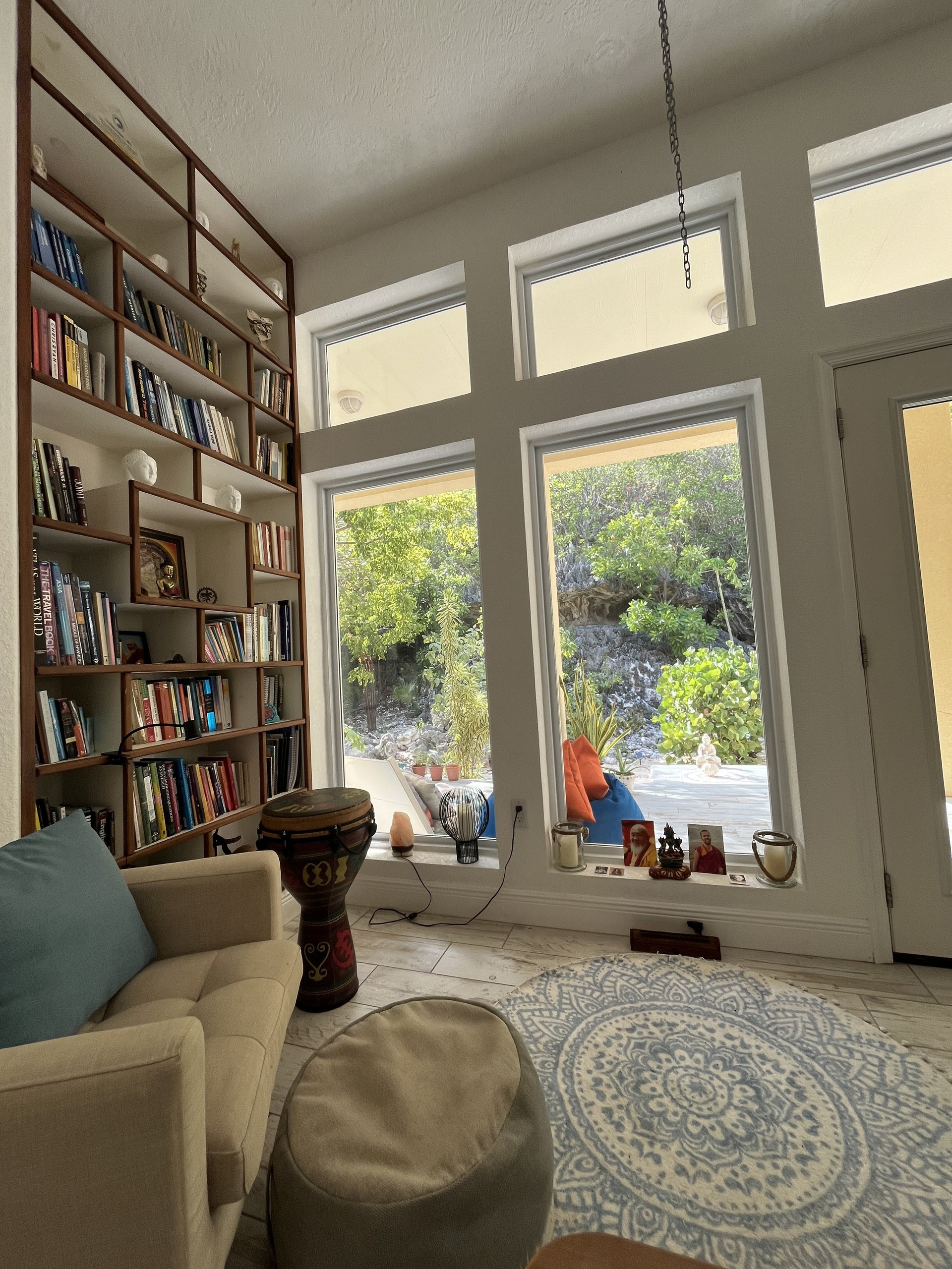 Living room bookshelf with garden view