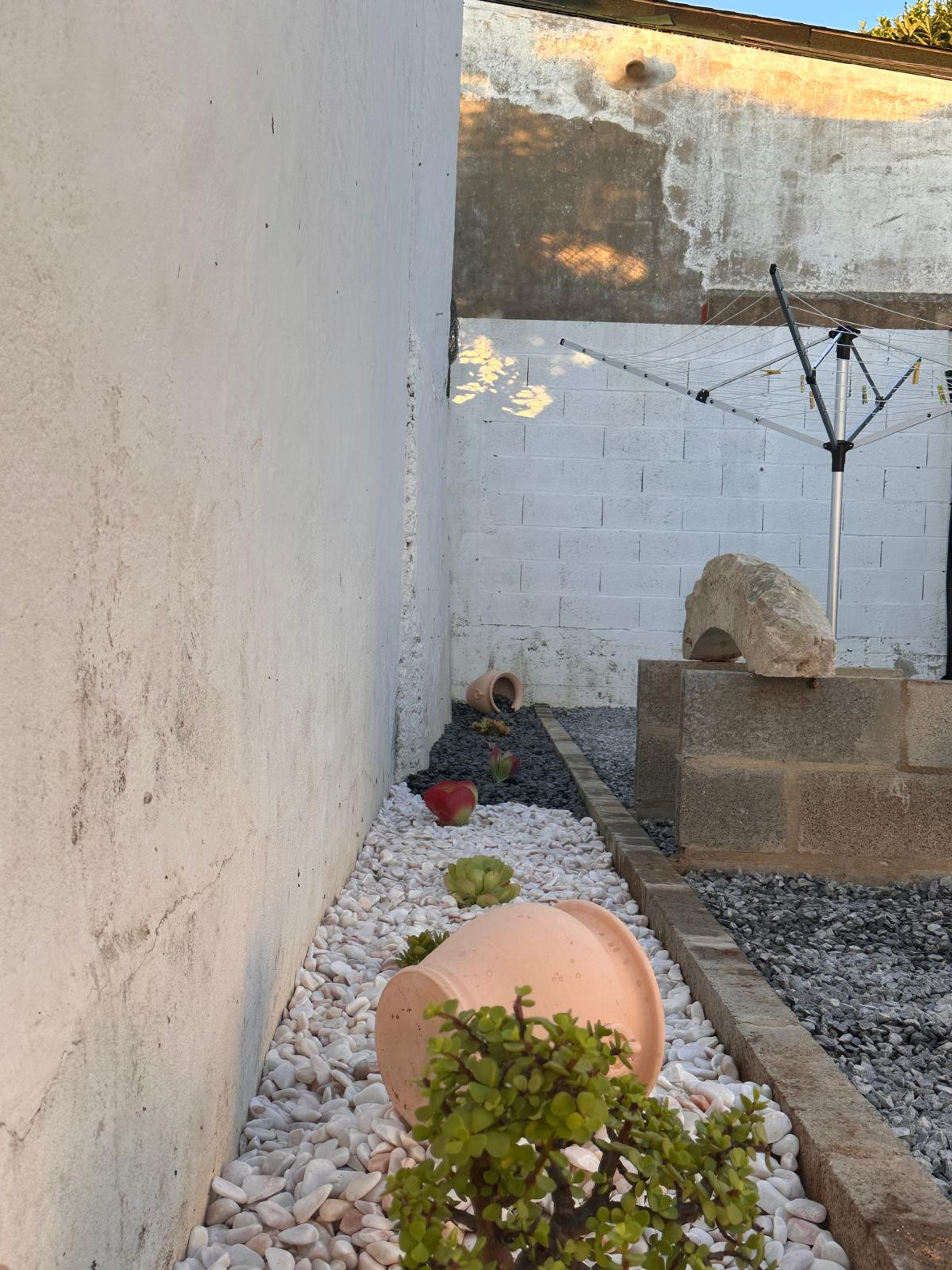 Jardim