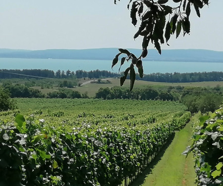 Présház-nyaraló , kilátással a Balatonra