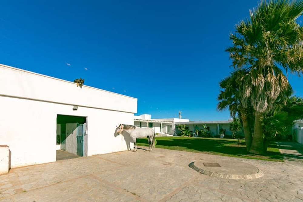 Casa rural la Vega 2 in Tarifa preview