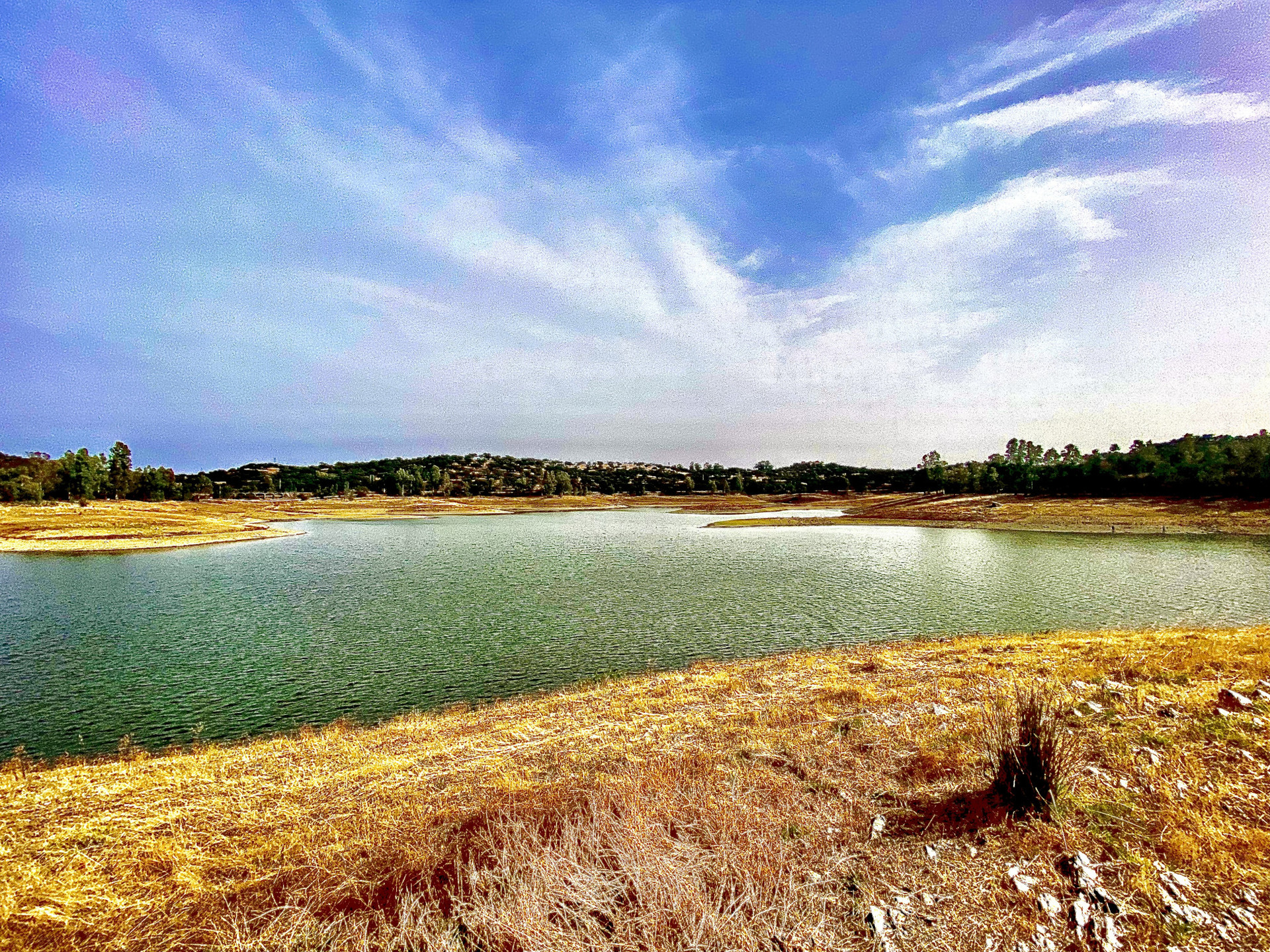 Los lagos