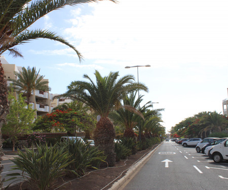 Lovely apartment with pool in Palm Mar Tenerife