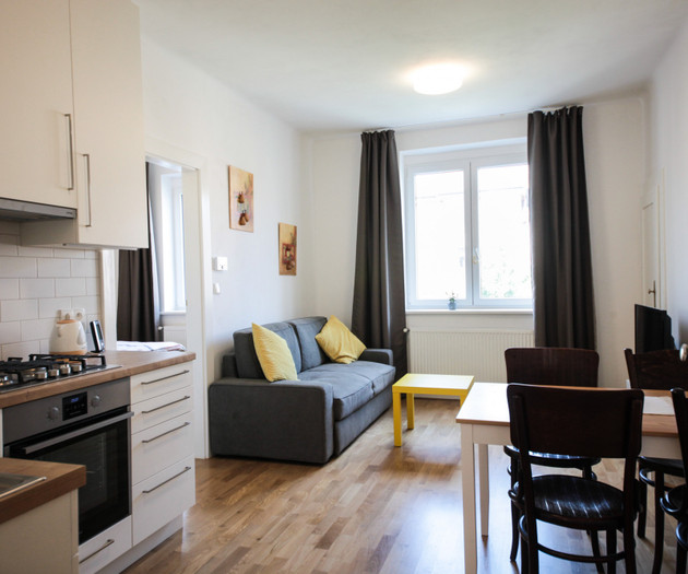 Stylish & quiet apartment on the metro Dejvicka