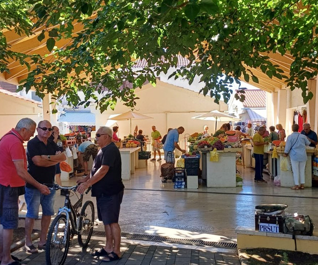 Market crowd under shade trees