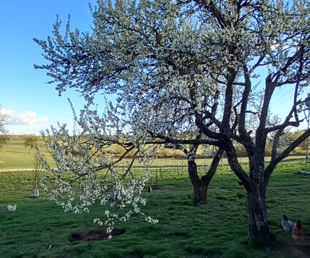 Spacious mobile home, remote fam farm