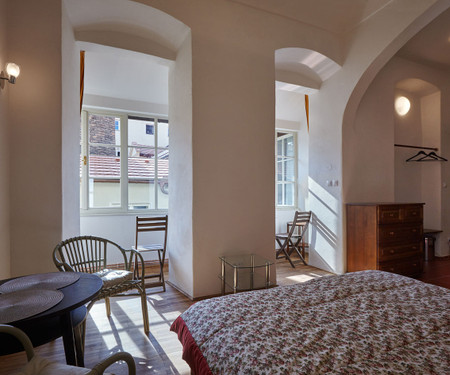 Lovely apartment Johan near Charles bridge