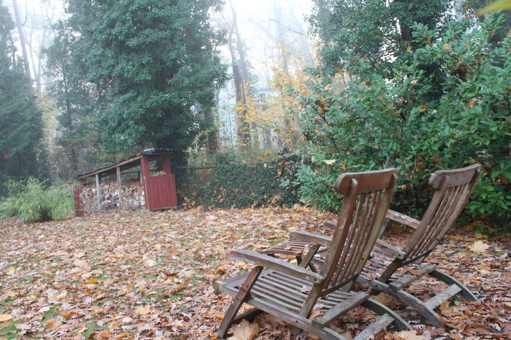 Image #9