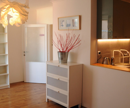 Apartment 1bdr, 45 m2, Dejvice, Prague 6