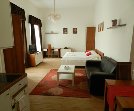 Apartment with a garage in the wide city centre 