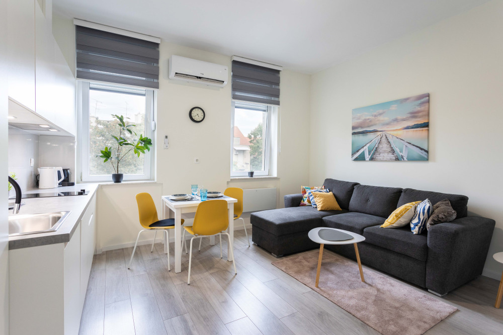 Bright and Modern 1BDR apartment in City Center preview