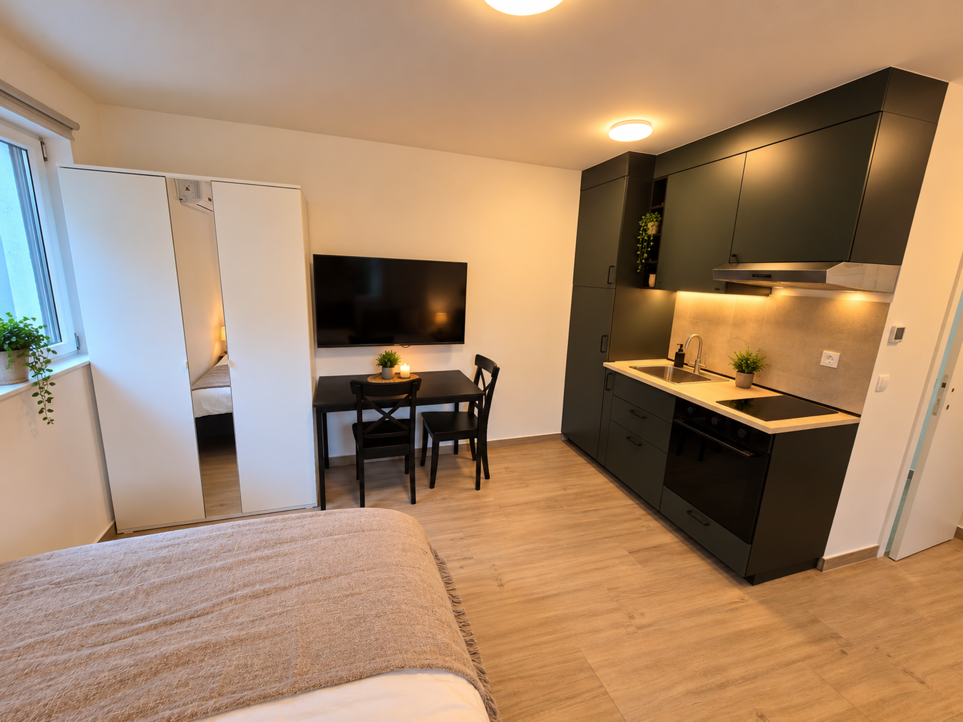 Kitchenette, dining table, TV, wardrobe