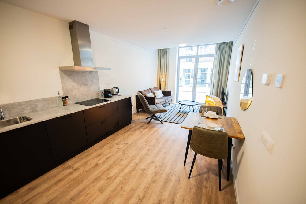 Elegant Escape 1BDR Apartment PRH preview