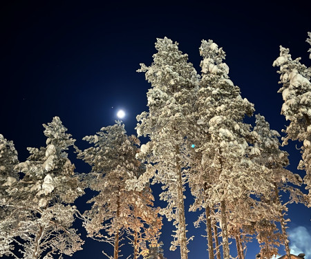 Remote work & vacation in Levi, Lapland