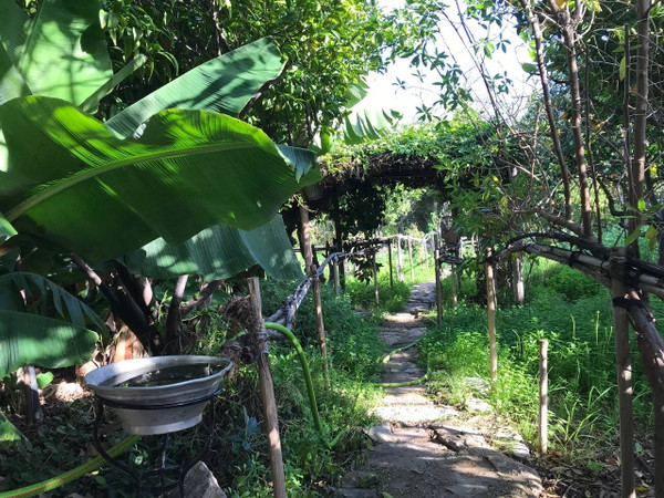 Jardín