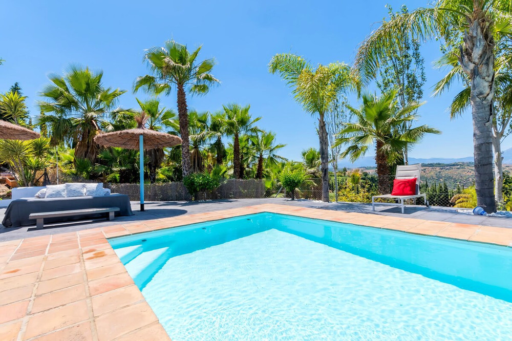 Cubo's Finca El Balneario preview
