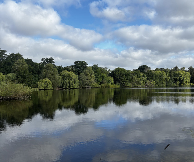 Scenic lake with trees