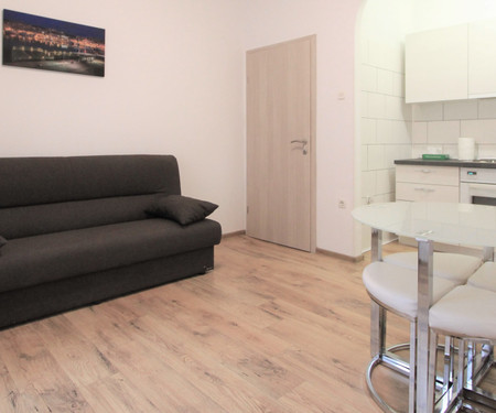 Apartman Ulica Ljudevita Matešića