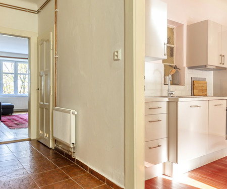 Flat with grand piano near Prague castle