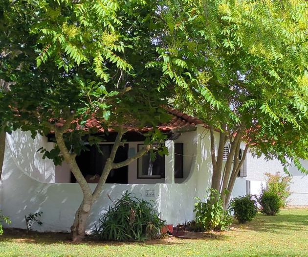 A Casa da Figueira, uma figueira, uma história