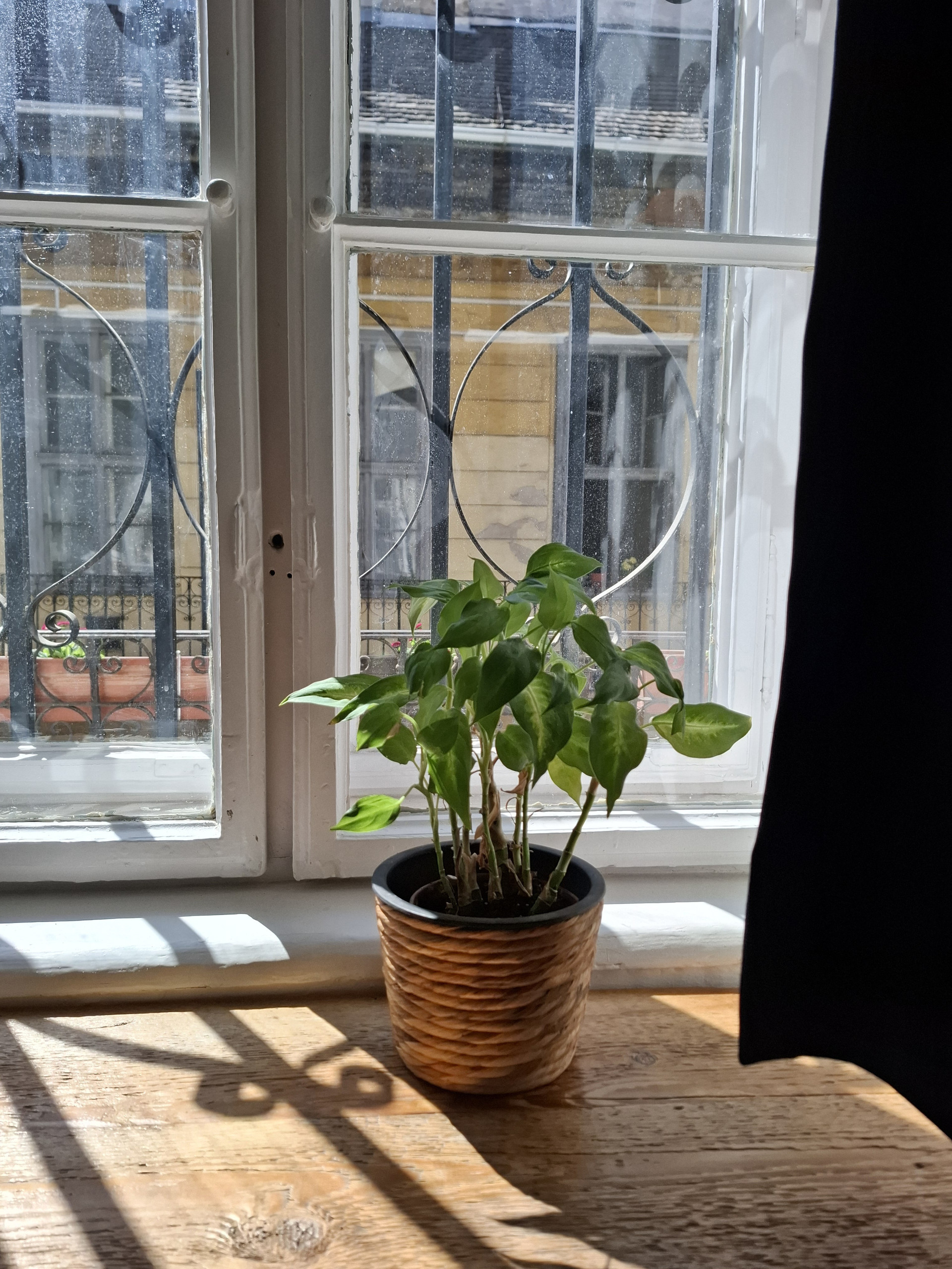 living room window