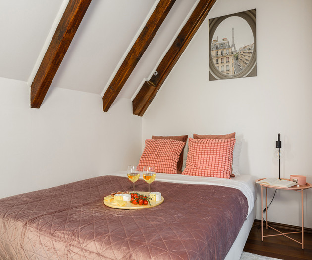 Luxurious apartment near Old Town FV