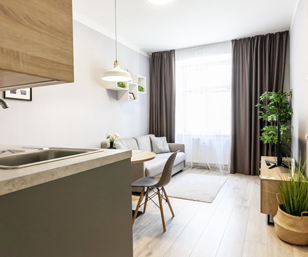 Honest SMICHOV - Superior Apartment (I), stylish !