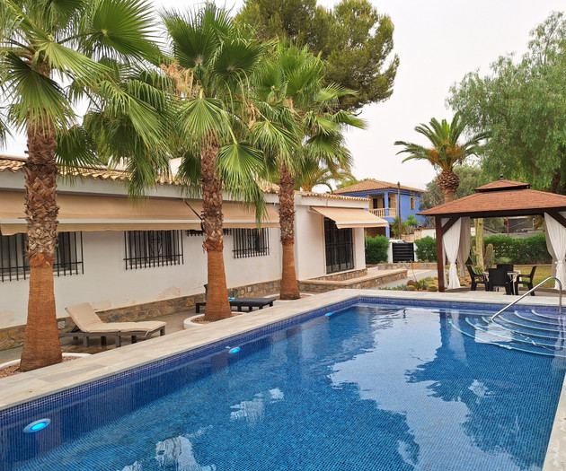 Pool with palm trees house