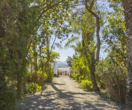 Cubo's Casa Rural El Oasis De Don Pedro