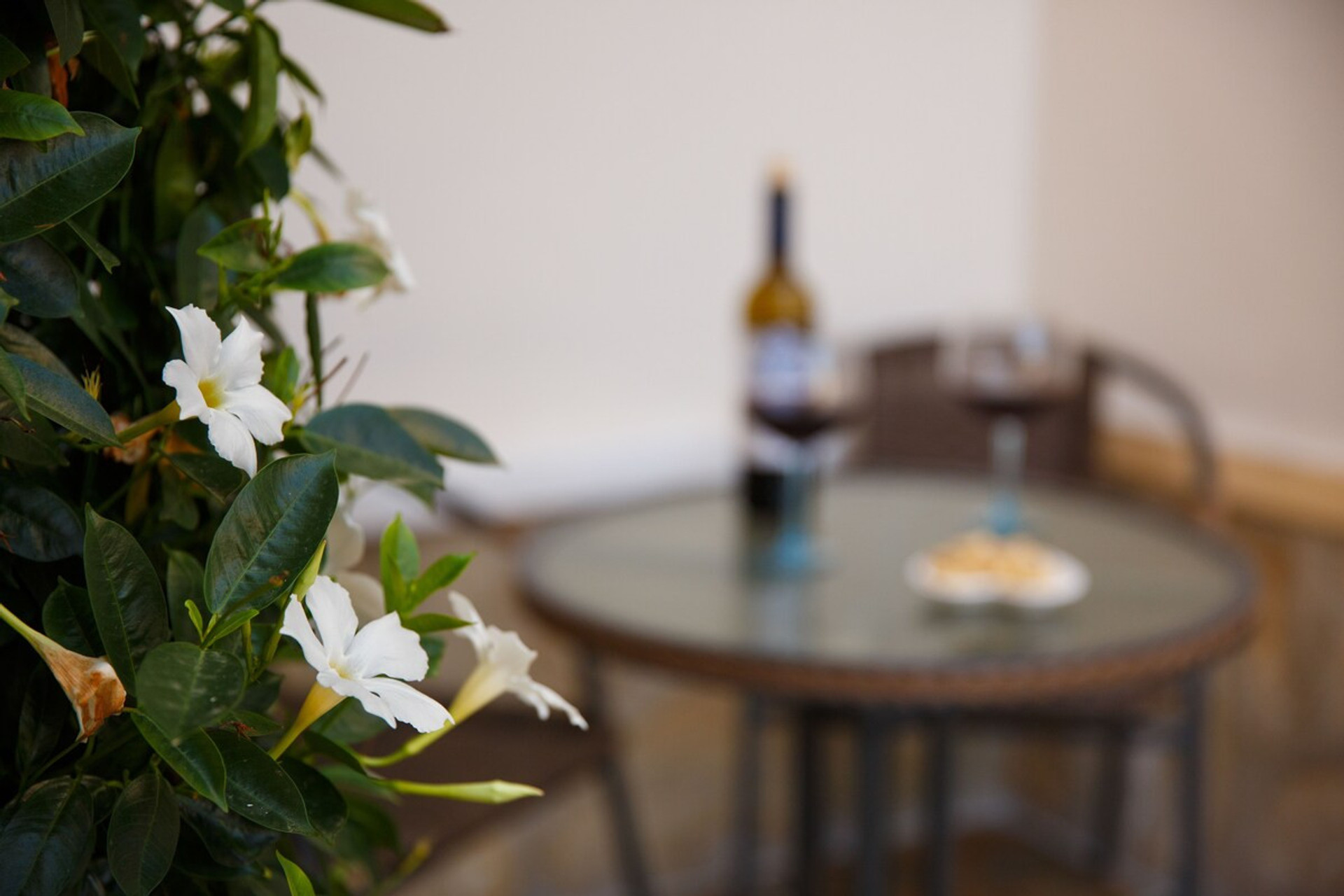 Patio image 1
