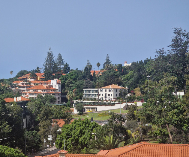 Rooftop view of surrounding houses